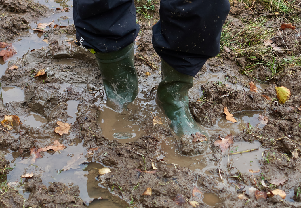 Soggy grass